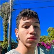 Profesor de iniciación musical, Teoría, lenguaje y ejecución de instrumento